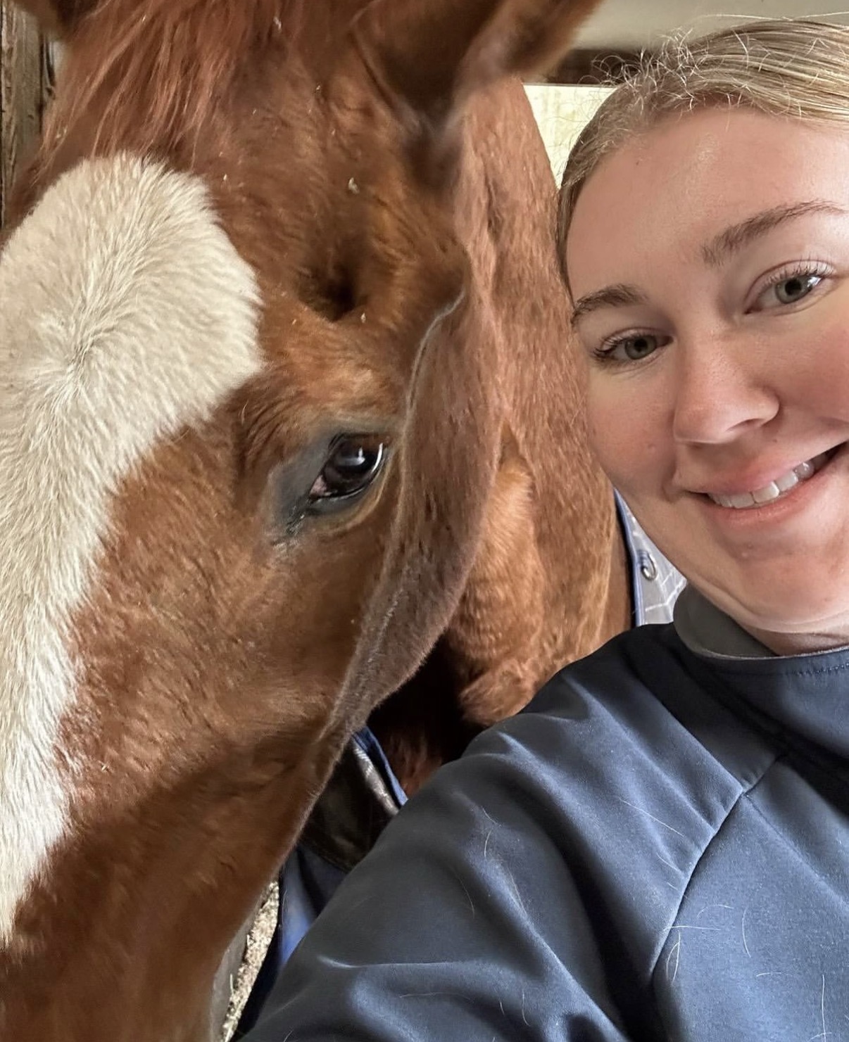 Horse bodywork session photo 2910